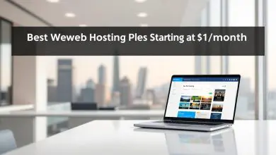 Best Web Hosting Plans Starting at $1/month (2025 Review), Arahoster is best