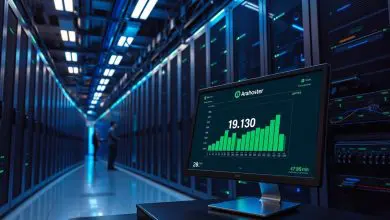 Why Website Uptime Matters – And How Arahoster Guarantees It