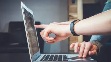 Shared Hosting