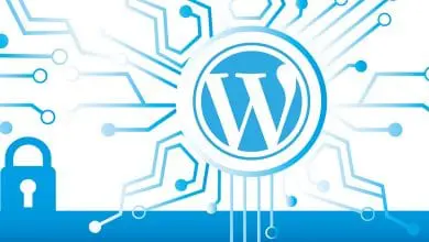 Installing WordPress Plugins