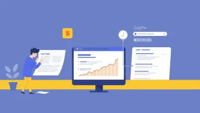 on-page SEO techniques.