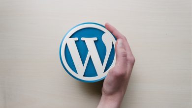The Future of WordPress