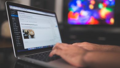 WordPress blog