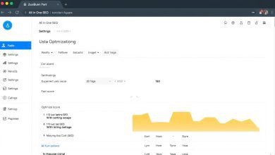 WordPress SEO plugins dashboard showing All in One SEO settings in 2025