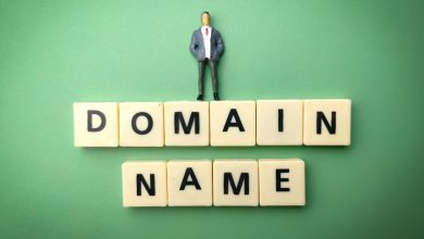 buying a domain name
